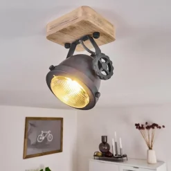 Plafonnier Herford Gris, Bois clair, 1 lumière