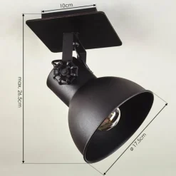 Plafonnier Hora Noir, 1 lumière