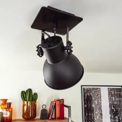 Plafonnier Hora Noir, 1 lumière