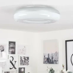 Plafonnier iDual Daphnis LED Argenté, Blanc, 1 lumière, Télécommandes, Changeur de couleurs