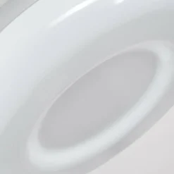 Plafonnier iDual Daphnis LED Argenté, Blanc, 1 lumière, Télécommandes, Changeur de couleurs