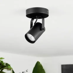 Plafonnier Kergus Noir, 1 lumière