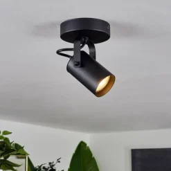 Plafonnier Kergus Noir, 1 lumière