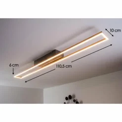 Plafonnier LED Paul Neuhaus Acier brossé, 4 lumières