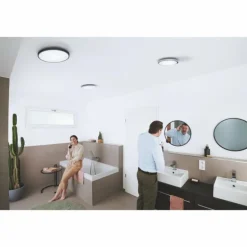 Plafonnier LEDVANCE Bathroom Argenté, 1 lumière