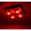 Plafonnier Leuchten Direkt LOLA-MIKE LED Acier inoxydable, 4 lumières, Télécommandes, Changeur de couleurs