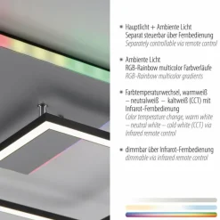 Plafonnier Leuchten Direkt RENDA LED Argenté, 2 lumières, Télécommandes, Changeur de couleurs