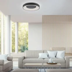 Plafonnier Leuchten-Direkt ANIKA LED Anthracite, 1 lumière, Télécommandes