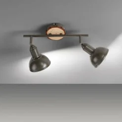 Plafonnier Leuchten-Direkt SWAMP Écru, 2 lumières