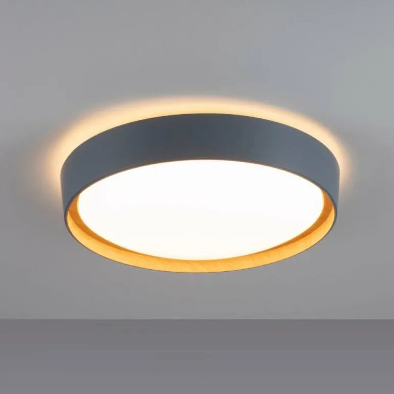 Plafonnier Leuchten-Direkt EMILIA LED Gris, Écru, 1 lumière