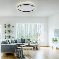 Plafonnier Leuchten-Direkt RITUS LED Anthracite, 1 lumière