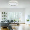 Plafonnier Leuchten-Direkt RITUS LED Aluminium, 1 lumière