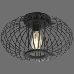 Plafonnier LeuchtenDirekt RACOON Noir, 1 lumière