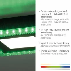 Plafonnier Leuchten-Direkt ACRI LED Noir, 2 lumières, Télécommandes