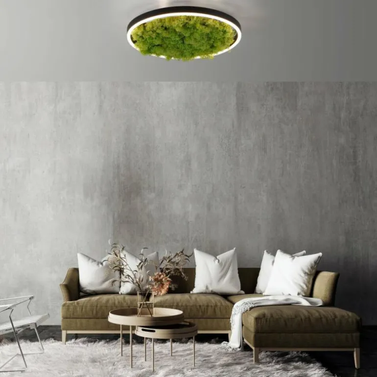 Plafonnier Leuchten-Direkt GREEN RITUS LED Noir, 1 lumière