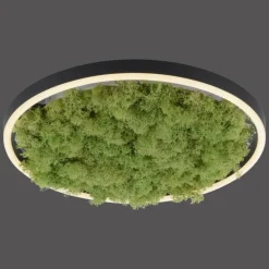 Plafonnier Leuchten-Direkt GREEN RITUS LED Noir, 1 lumière