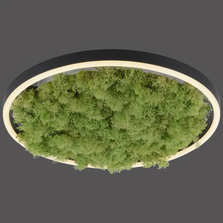 Plafonnier Leuchten-Direkt GREEN RITUS LED Noir, 1 lumière