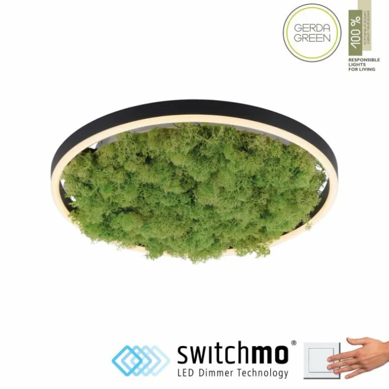 Plafonnier Leuchten-Direkt GREEN RITUS LED Noir, 1 lumière