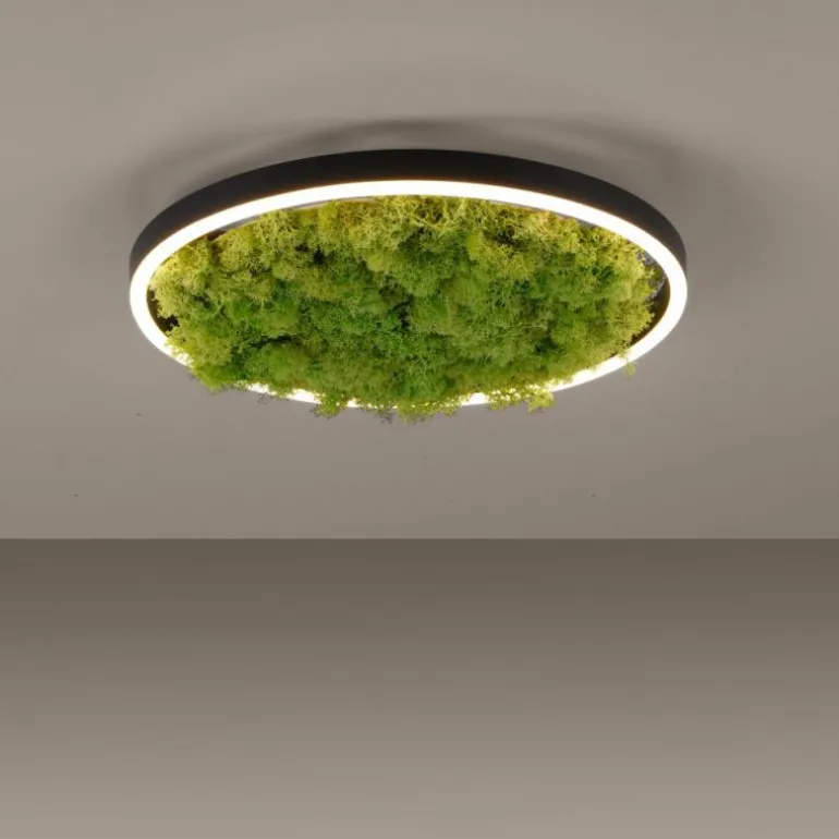 Plafonnier Leuchten-Direkt GREEN RITUS LED Noir, 1 lumière