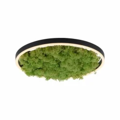 Plafonnier Leuchten-Direkt GREEN RITUS LED Noir, 1 lumière