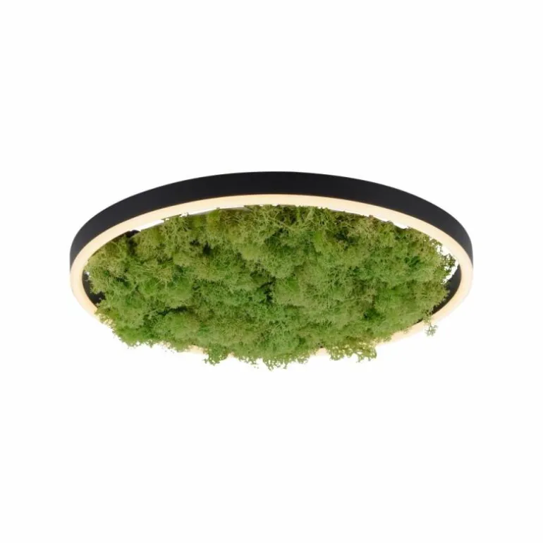 Plafonnier Leuchten-Direkt GREEN RITUS LED Noir, 1 lumière