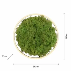 Plafonnier Leuchten-Direkt GREEN RITUS LED Noir, 1 lumière