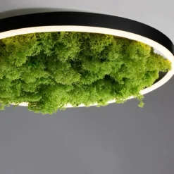 Plafonnier Leuchten-Direkt GREEN RITUS LED Noir, 1 lumière