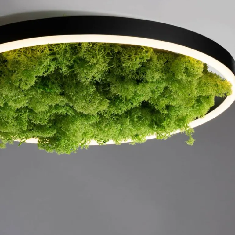 Plafonnier Leuchten-Direkt GREEN RITUS LED Noir, 1 lumière