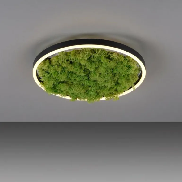 Plafonnier Leuchten-Direkt GREEN RITUS LED Noir, 1 lumière