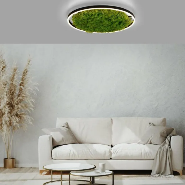 Plafonnier Leuchten-Direkt GREEN RITUS LED Noir, 1 lumière