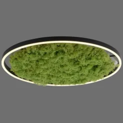 Plafonnier Leuchten-Direkt GREEN RITUS LED Noir, 1 lumière