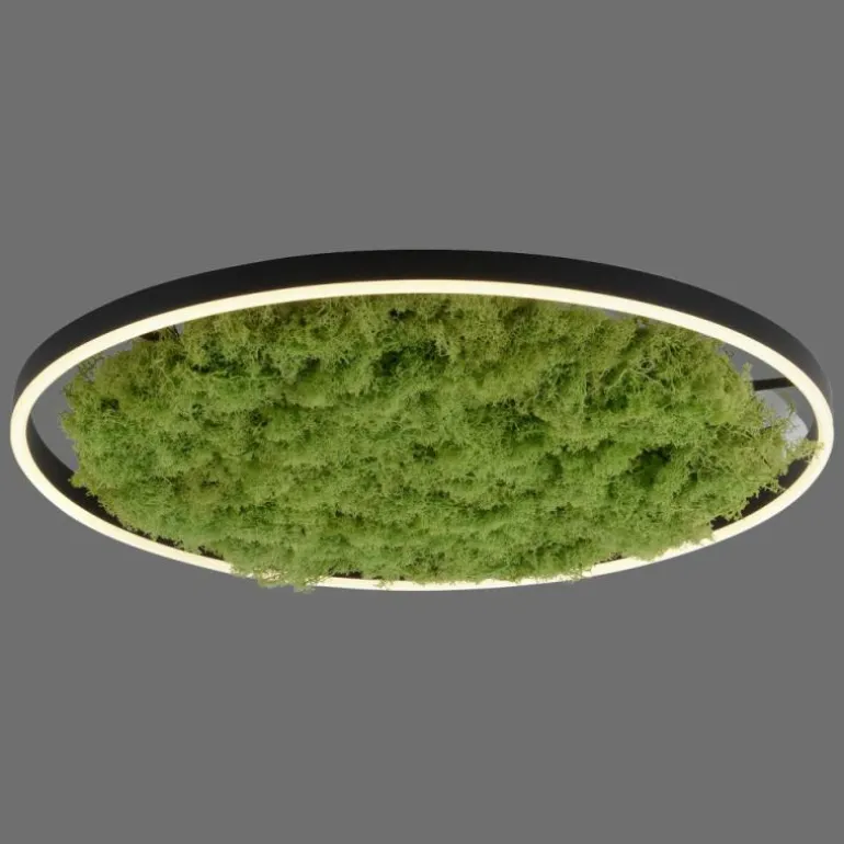Plafonnier Leuchten-Direkt GREEN RITUS LED Noir, 1 lumière