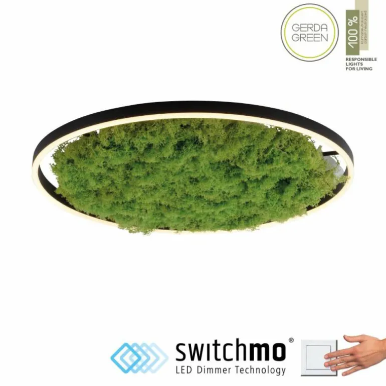 Plafonnier Leuchten-Direkt GREEN RITUS LED Noir, 1 lumière