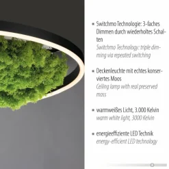 Plafonnier Leuchten-Direkt GREEN RITUS LED Noir, 1 lumière