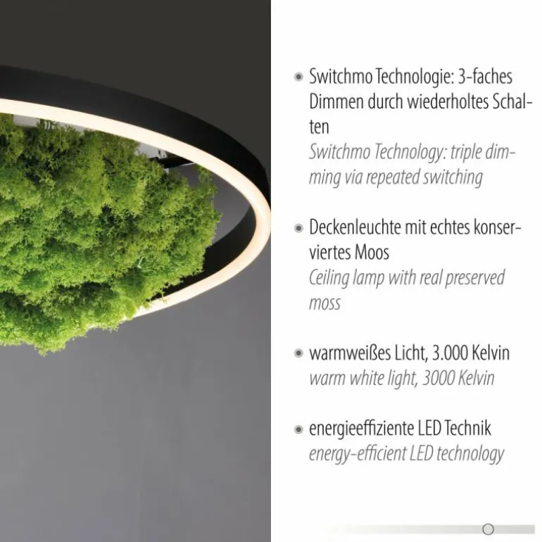 Plafonnier Leuchten-Direkt GREEN RITUS LED Noir, 1 lumière