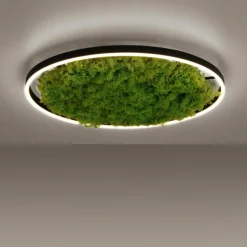 Plafonnier Leuchten-Direkt GREEN RITUS LED Noir, 1 lumière