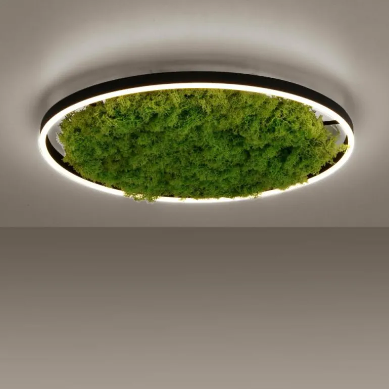 Plafonnier Leuchten-Direkt GREEN RITUS LED Noir, 1 lumière