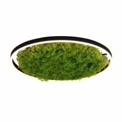 Plafonnier Leuchten-Direkt GREEN RITUS LED Noir, 1 lumière