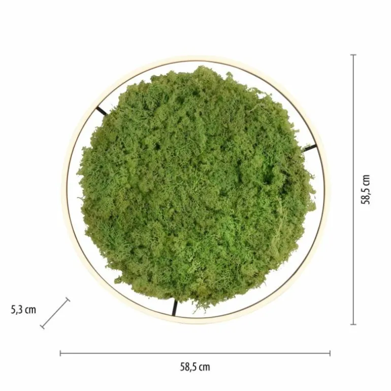 Plafonnier Leuchten-Direkt GREEN RITUS LED Noir, 1 lumière