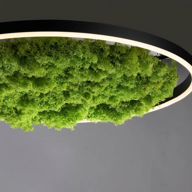 Plafonnier Leuchten-Direkt GREEN RITUS LED Noir, 1 lumière