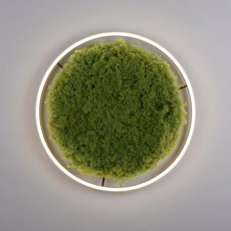 Plafonnier Leuchten-Direkt GREEN RITUS LED Noir, 1 lumière