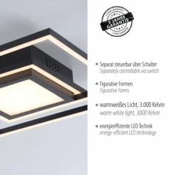 Plafonnier Leuchten-Direkt ASMIN LED Noir, 1 lumière