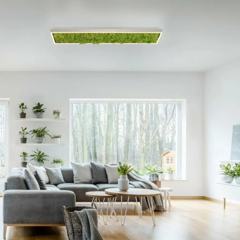 Plafonnier Leuchten-Direkt GREEN KNUT LED Argenté, 1 lumière