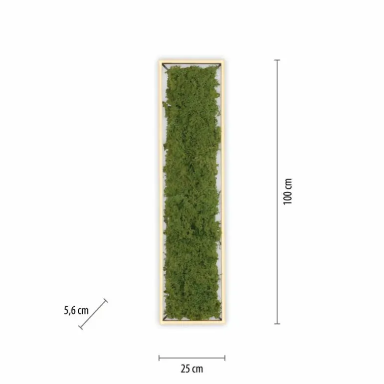 Plafonnier Leuchten-Direkt GREEN KNUT LED Argenté, 1 lumière