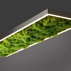 Plafonnier Leuchten-Direkt GREEN KNUT LED Argenté, 1 lumière