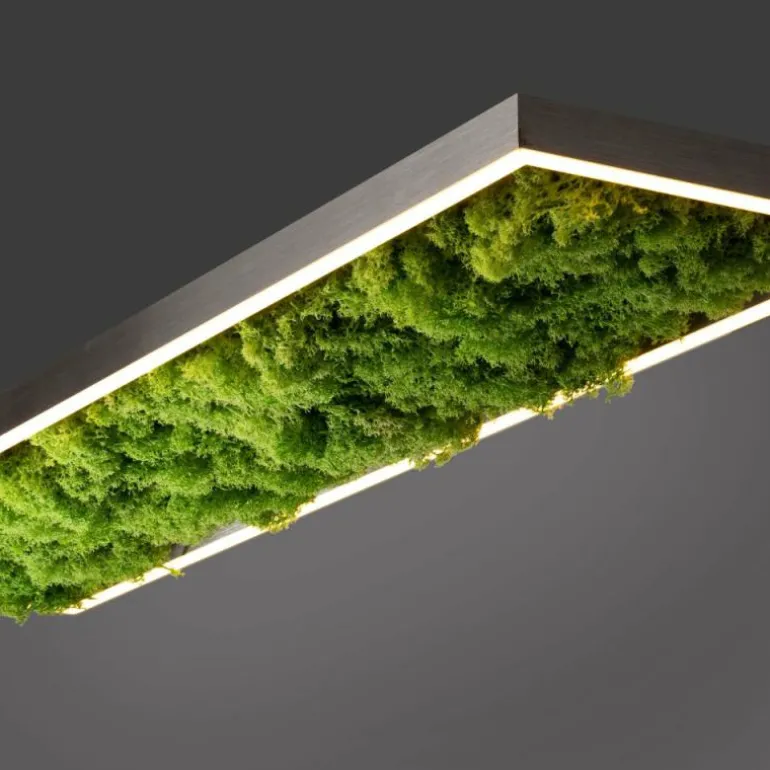 Plafonnier Leuchten-Direkt GREEN KNUT LED Argenté, 1 lumière