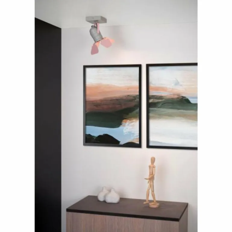 Plafonnier Lucide PICTO Gris, Rose, 1 lumière