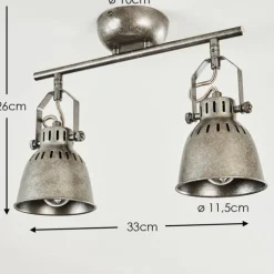 Plafonnier Nanlia Gris, Argenté, 2 lumières