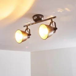 Plafonnier Nanlia Gris, Argenté, 2 lumières