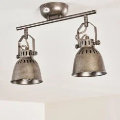 Plafonnier Nanlia Gris, Argenté, 2 lumières